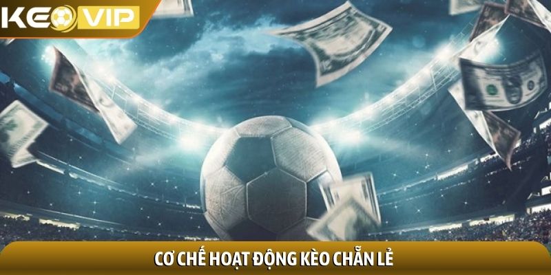 Kèo chẵn lẻ - Chiến thuật đơn giản, hiệu quả bất ngờ 2 Cơ chế hoạt động kèo chẵn lẻ